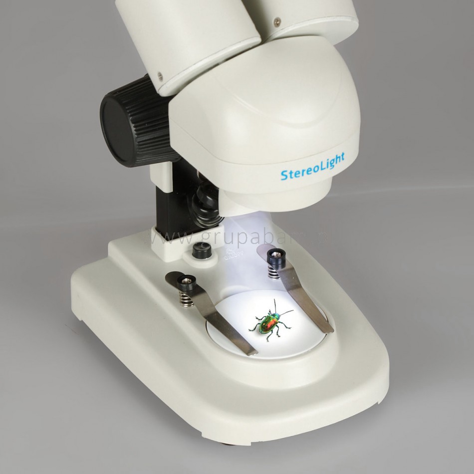 Mikroskop StereoLight + Lornetka Voyager S 10x32