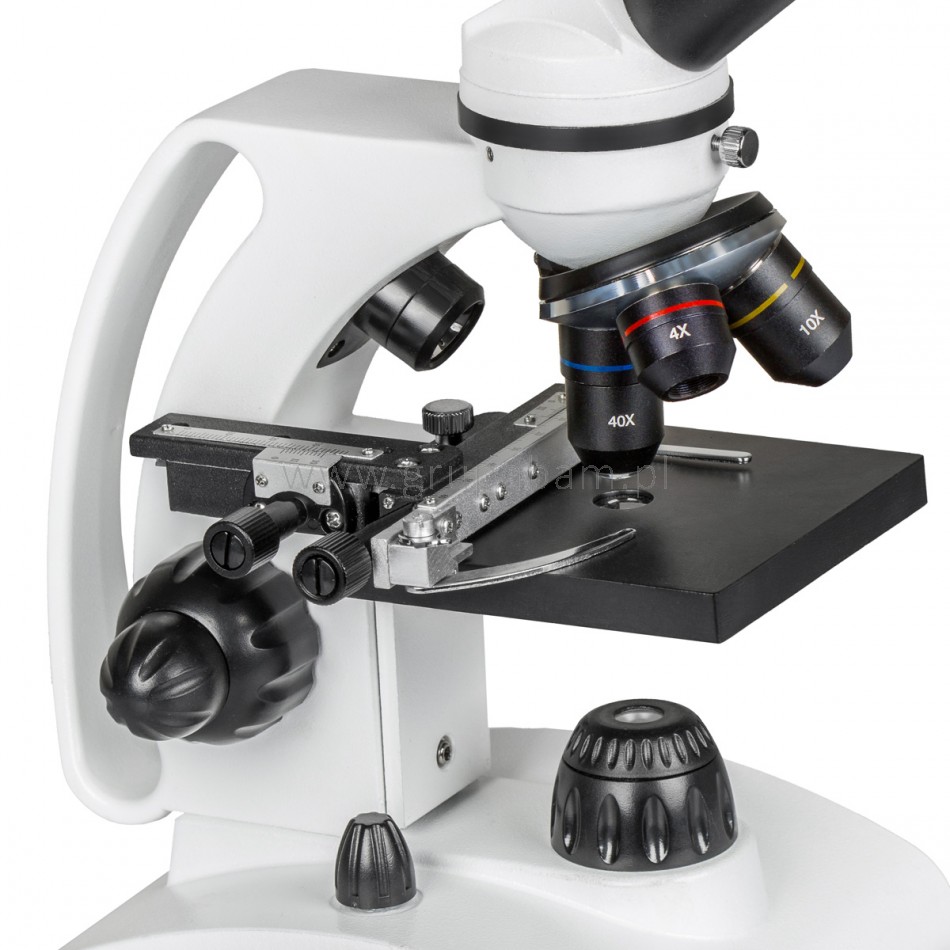 Mikroskop BioLight 300 + kamera Delta Optical DLT-Cam Basic 2 MP